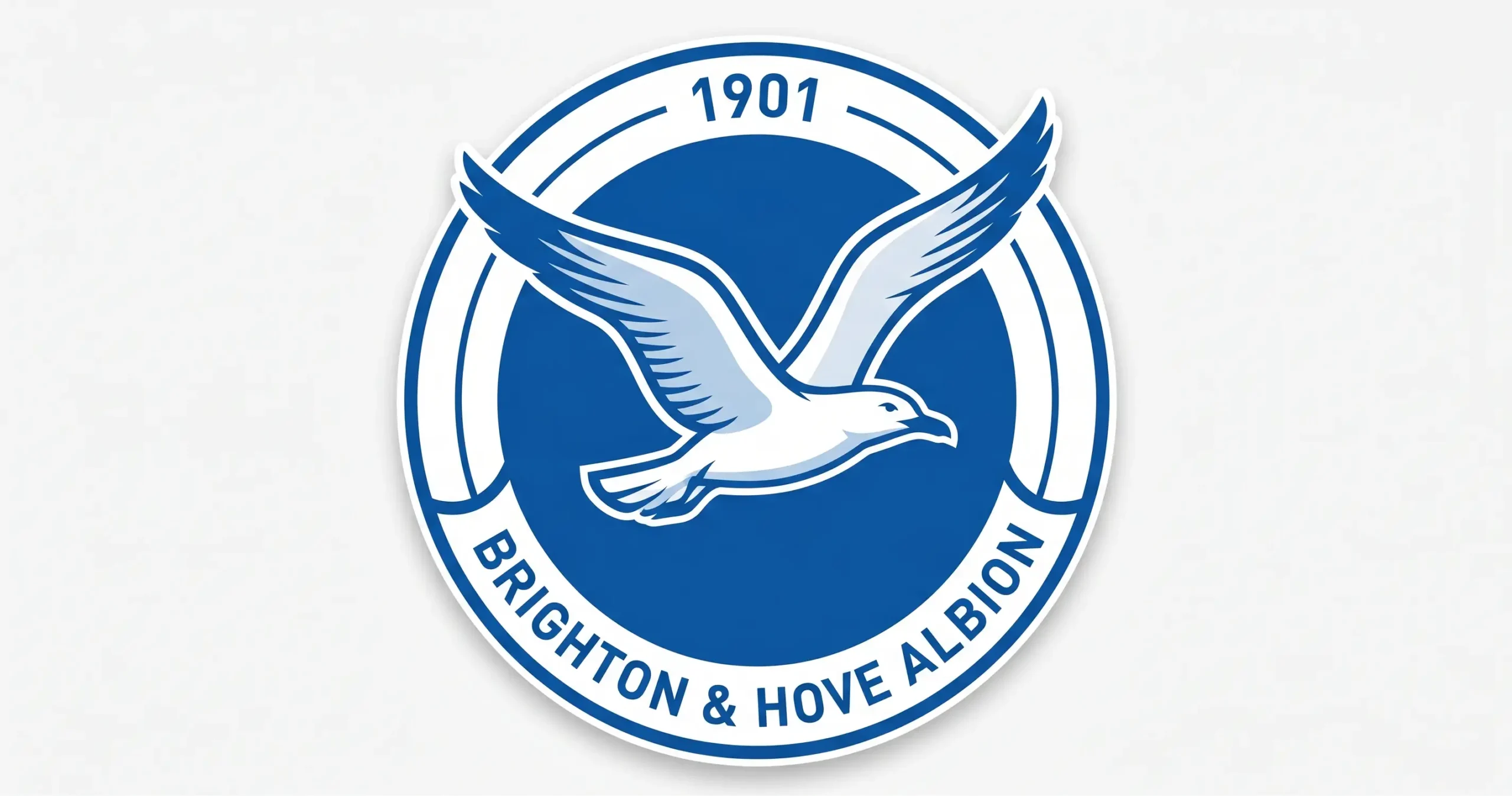 Brighton Team Profile